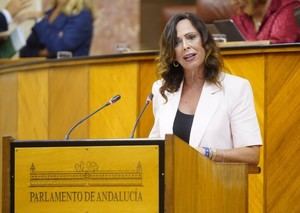 Avanza la Ley de Vivienda en Andalucía para mejorar el acceso en Almería