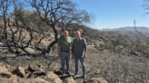 PSOE exige acción judicial por incendio en Lubrín