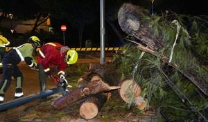 Temporal de lluvias provoca incidencias en Almería y alerta naranja en el Levante