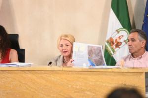 Almería se adhiere al decreto para facilitar vivienda protegida