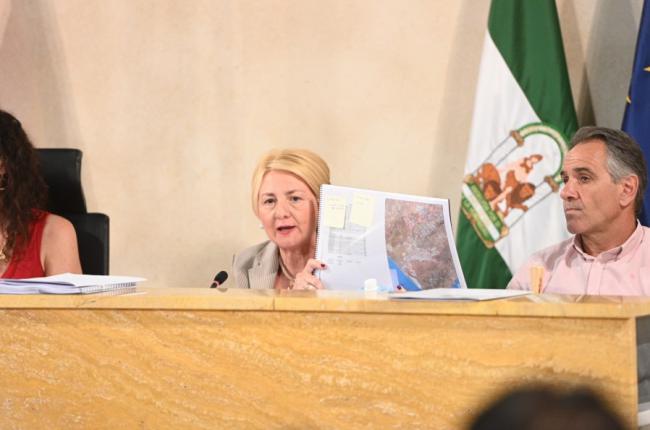 Almería se adhiere al decreto para facilitar vivienda protegida