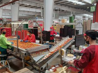 Almería se beneficia de 3,9 millones en ayudas para la Economía Social