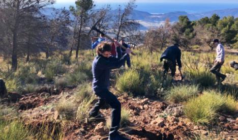 El proyecto Reforesta Berja realiza un ensayo con encinas en El Zarzalón