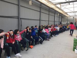 Medio millar de escolares participan en el proyecto 'Interioridades de un Mar de Plástico'
