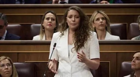 El PP espera 'más información' sobre la investigación de la UCO en la Diputación de Almería