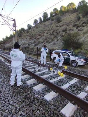 La Guardia Civil informa a la jueza sobre la falta de respuesta de Adif en el caso del accidente ferroviario