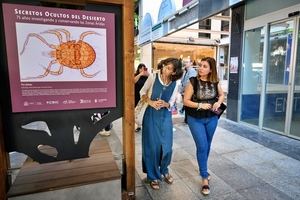 Los secretos ocultos del desierto de Tabernas en una nueva exposición en el Paseo de Almería