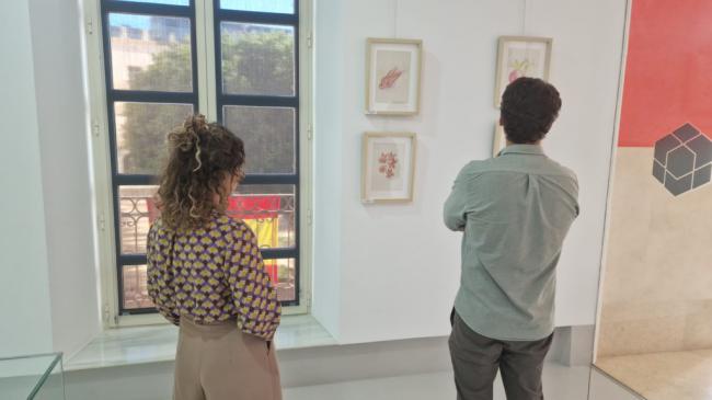 El arte cotidiano cobra vida en el CIP con “Colmado”, la nueva exposición de Paula Zapata