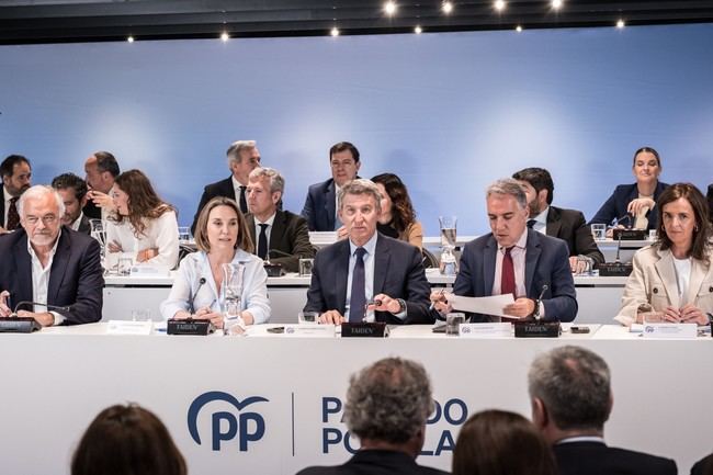 Feijóo aclara que la Ponencia Política del PP establecerá líneas generales, no un programa electoral