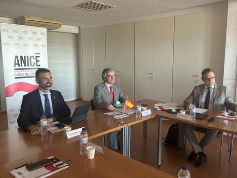 El sector cárnico andaluz tiene 482 empresas que exportan 380 M€ al año