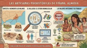 Un diente de hace cinco milenios revela el trabajo femenino en Almería durante la Edad del Cobre