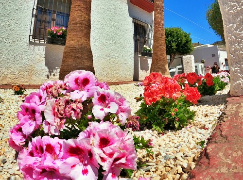 ‘Flores De Mayo’ para la primavera de La Villa De Vícar