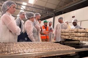 Cierre del curso de verano sobre innovación en el sector agroalimentario