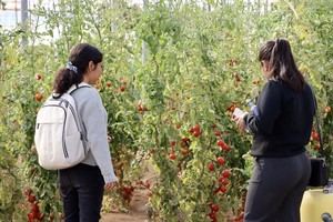 Ingeniería Agrícola de la UAL, entre las cinco mejores de España