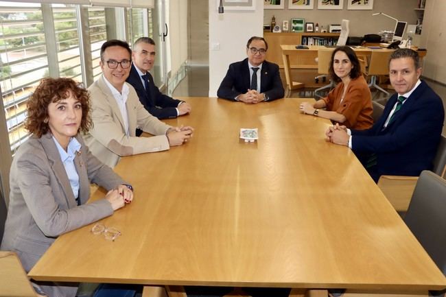 Becas para el Máster en Energía Solar de la UAL y Naturgy