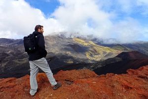 Estudio global revela baja absorción de nitrógeno en la naturaleza