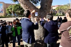 Árbol conmemora 50 años de democracia en el campus