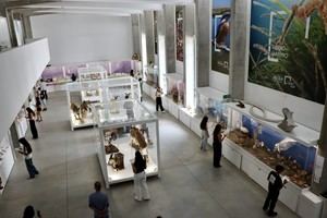 Olimpiada de Ciencias Ambientales en la UAL se consolida