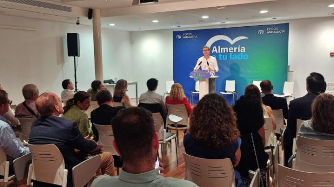 PP exige más inversión eléctrica para Andalucía