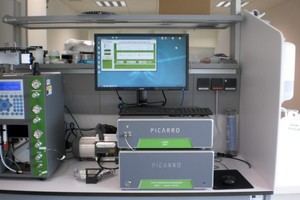 Estudio desafía reglas de crecimiento en coníferas del hemisferio sur