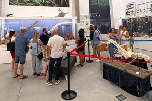 Exposición sobre la biodiversidad del Mar de Alborán en la UAL