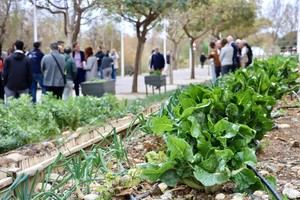 Premio a la UAL por su huerto inclusivo