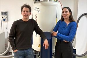 Pétalos de rosa podrían ayudar en el tratamiento del cáncer de mama