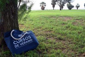 Cursos de Verano 2025: 27 propuestas en 7 sedes