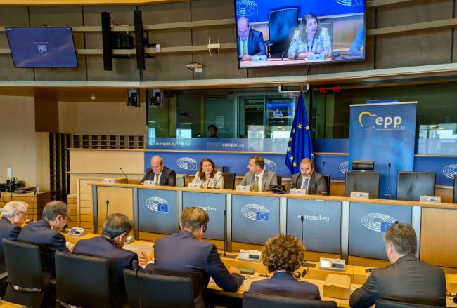 Carmen Crespo celebra simplificación de la PAC en el Parlamento Europeo