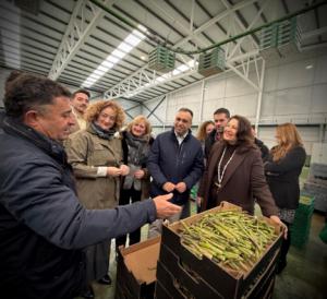 El campo andaluz busca en Bruselas medidas de choque contra el alza de costes y las plagas