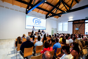Ramón Fernández-Pacheco opta a la reelección al frente del PP provincial para consolidar la hegemonía política en Almería