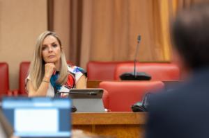 El Congreso respalda una iniciativa del PP de Almería en defensa del municipalismo