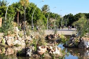 Cursos de verano en sostenibilidad y energía en la UAL
