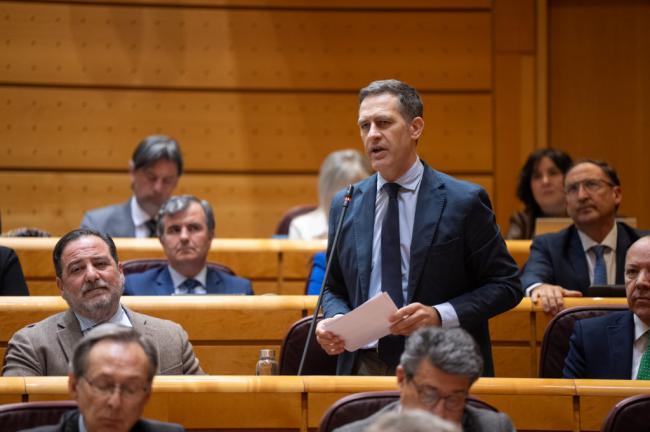 Castellón acusa al Ejecutivo de ignorar avisos de sobretensiones