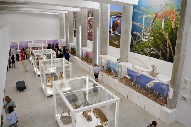 Acuerdo para fomentar la educación ambiental en el Pabellón de Historia Natural