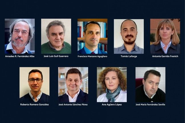 Más de 20 investigadores de la UAL entre los más influyentes del mundo