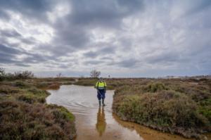 La Junta de Gobierno aprueba el control de mosquitos en Roquetas de Mar