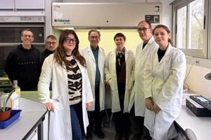 Riesgo de extinción para la siempreviva de Mojácar