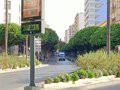 Comerciantes de Almería se oponen a las obras del Paseo mediante una carta