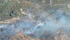 Incendio en Berja extinguido tras siniestro de un turismo