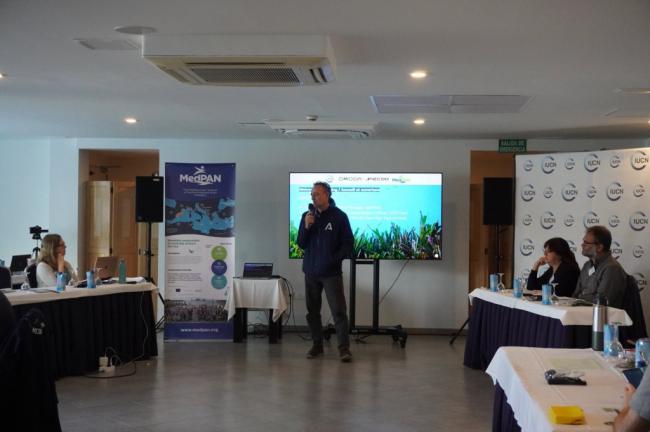 Encuentro internacional por la conservación de posidonia en Almería