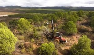 Andalucía promueve la gestión sostenible de montes y madera en Almería