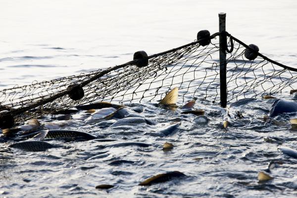 La Comisión establece directrices sobre Natura 2000 y la pesca