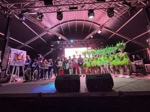 Éxito rotundo en el Carnaval de Pulpí 2026 con 40 comparsas participantes