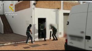 Localizadas 300 plantas de marihuana en Fondón