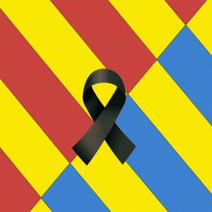 La Unión Militar de Emergencias se suma al dolor de Almería por el incendio de Los Gallardos