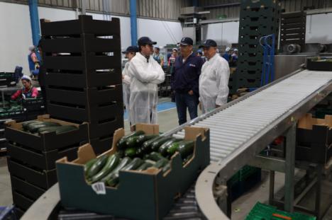 El alcalde de El Ejido visita el líder europeo en exportación de calabacín