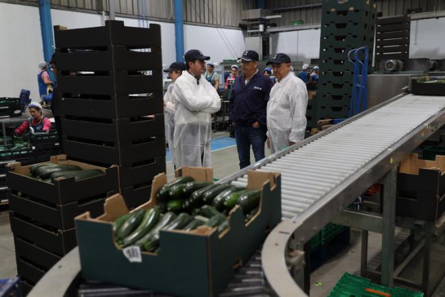 El alcalde de El Ejido visita el líder europeo en exportación de calabacín