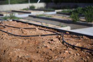 Almería invierte 37.000 euros en rehabilitar camino rural en El Alquián