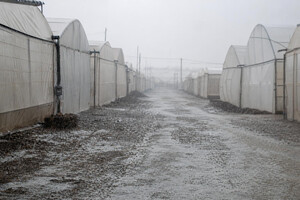 Avisos amarillos por fuertes tormentas en la provincia